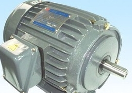 LIANG CHI MOTOR