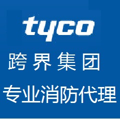 TYCOֱ̩ӹ̽ͷ601P-M