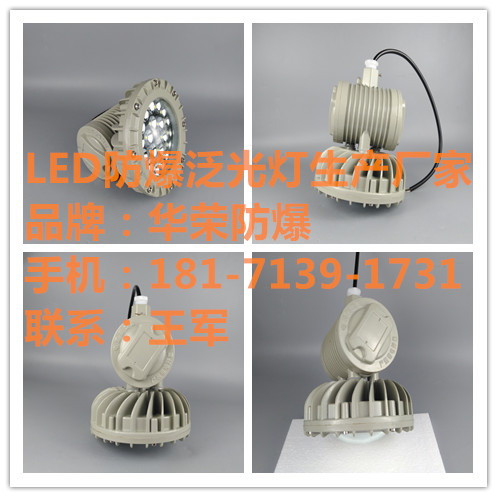 BLD230-60b1LED,BLD230-60W