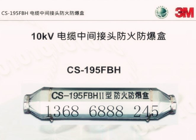 CS-195FBHII 1*500 3M ·