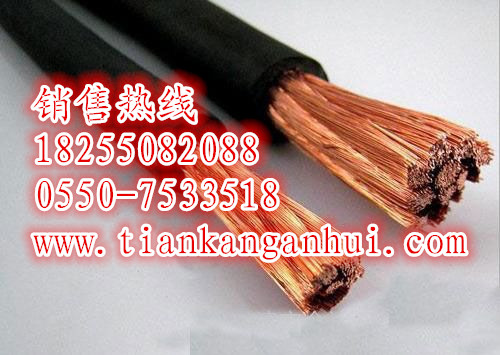 BPGVFPP2Ƶ-3*95+1*50¹