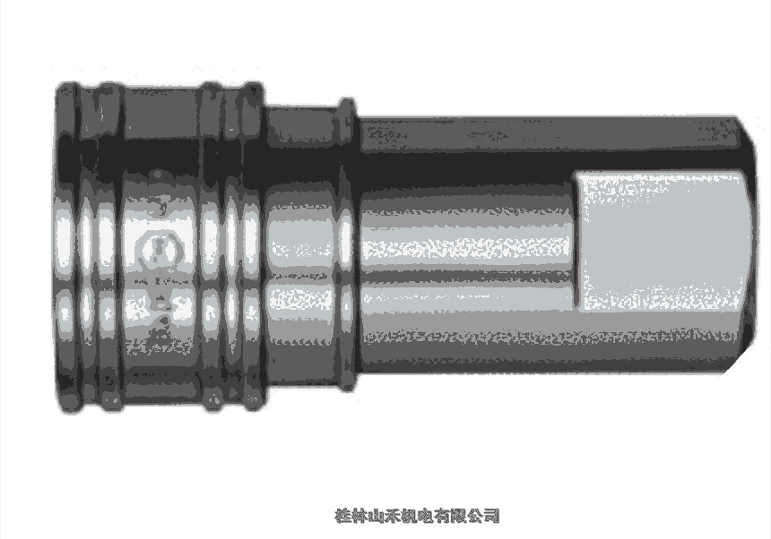 ƹӦձNITTOնٽͷSCS-1S-NPTSCS-2S-NPT