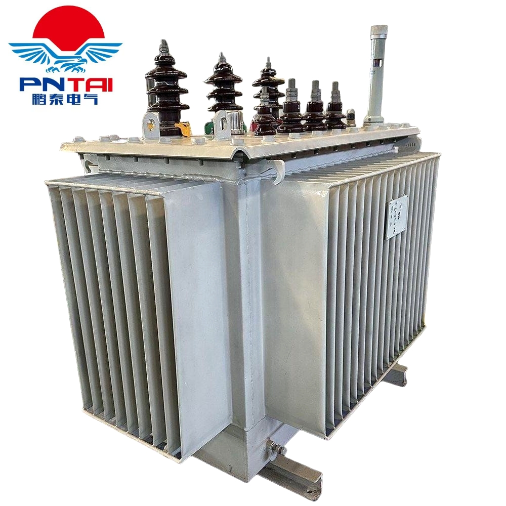 S20ϵ 315kva˫ͽʽѹ ̩Դͷ ȶ ֶ֧