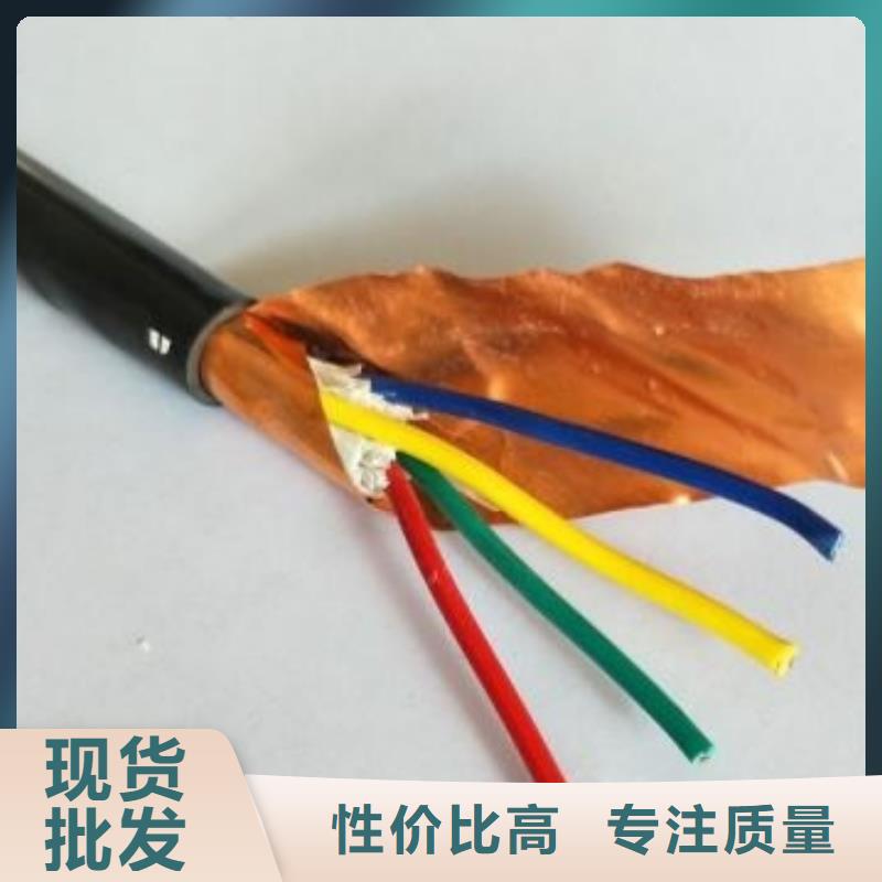 Ƶ12X2.5MKVV32-450/750V-