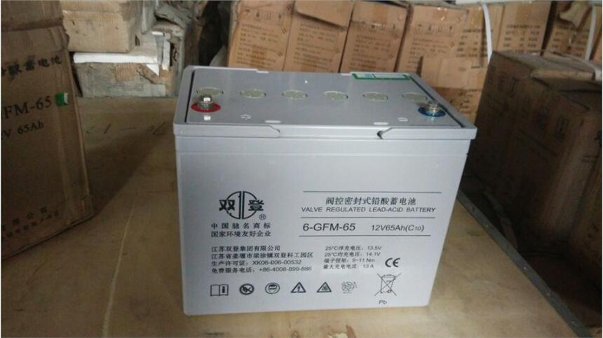 SHUANG6-GFM-65 12v65ah