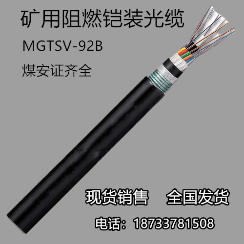 úͨŹ  MGTS-24B   ú ֱ