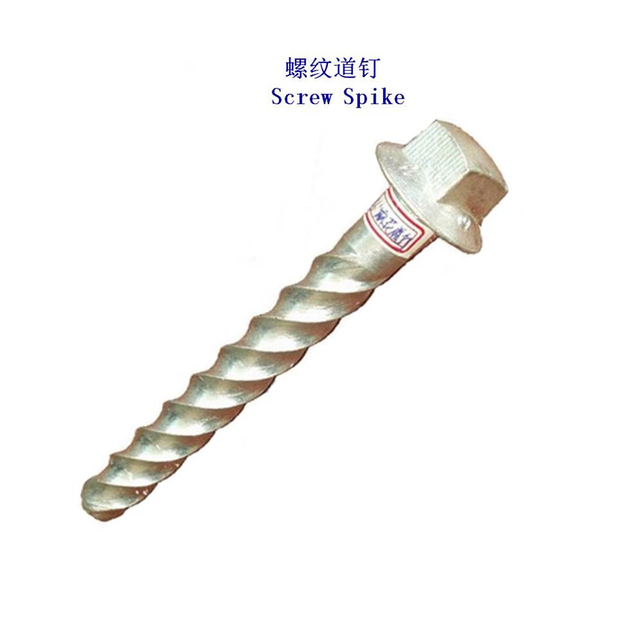 Ss23