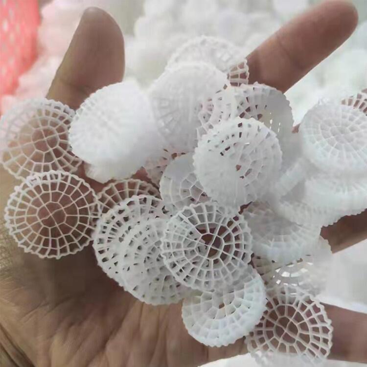 K1ϼ۸;