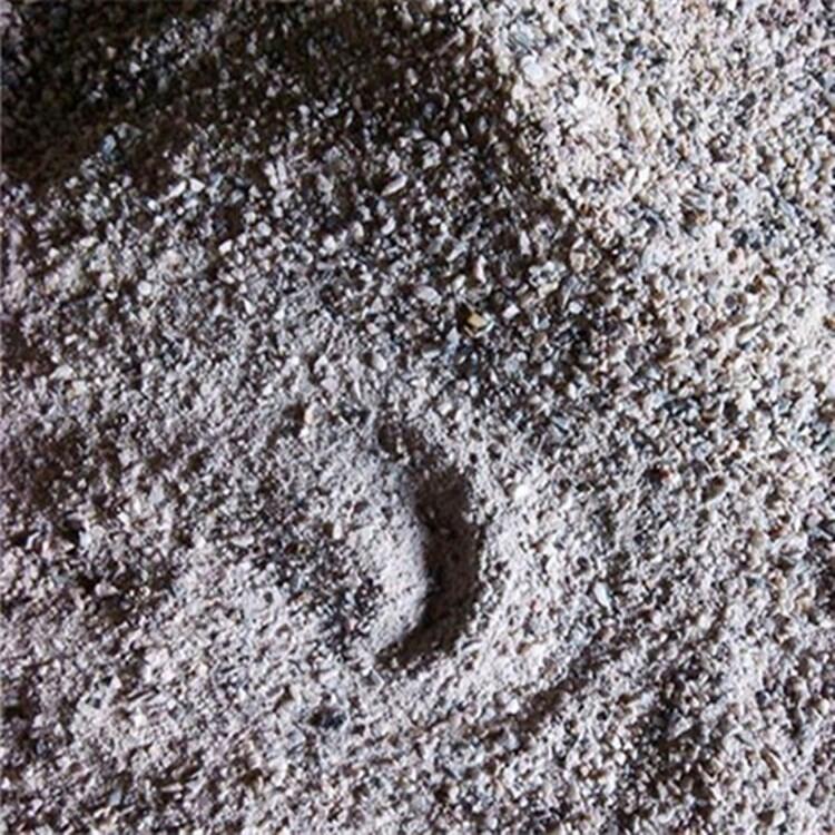 ᱵ߱ᱵɰרҵ