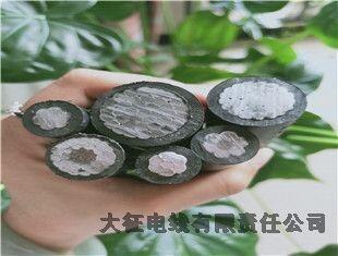 OPGW³绰