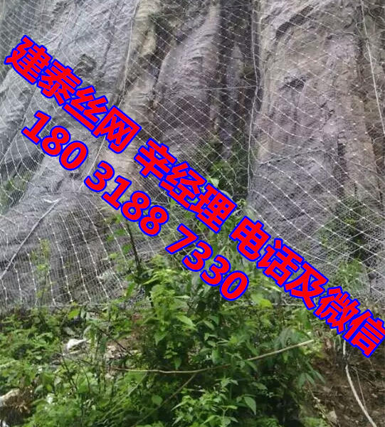 ·ֻ