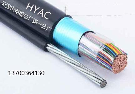 MHYBV-5ֻ30*2*0.6һ2025Ѹ(/Ѷ