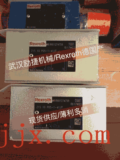人R165361310ĸ