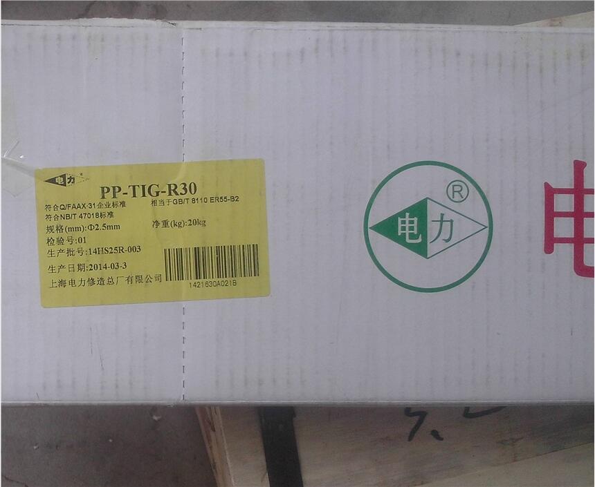 PP-TIG-R30벻˿ER55-B2˿