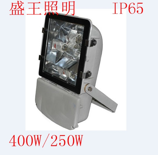 ͶZL8800