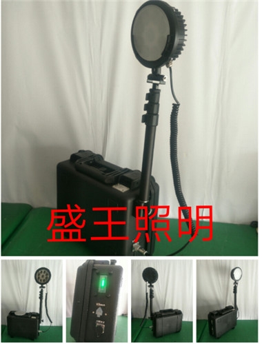RWX9131 RWX9131ǿܷ⹤