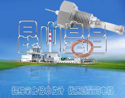 ˮλ缫2212L97mmѹʽ缫