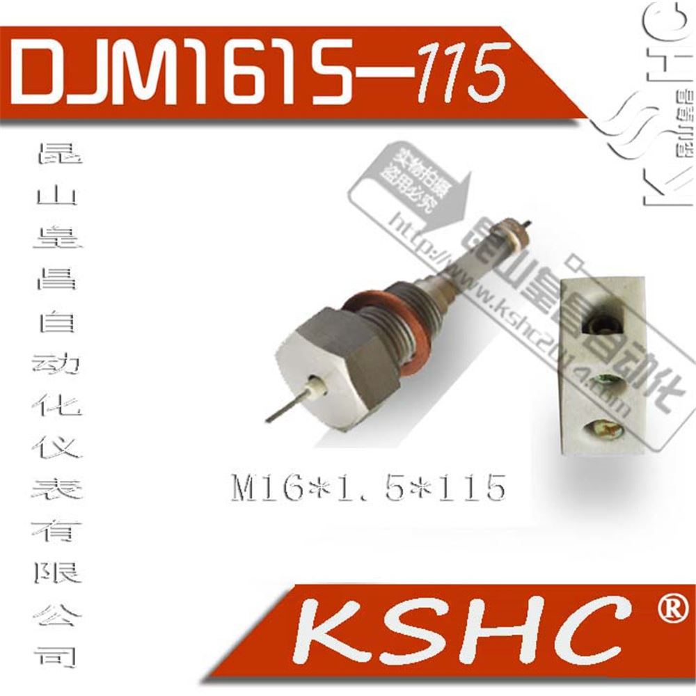 ¯缫ͺDJM1610-115DJM18ˮλ缫