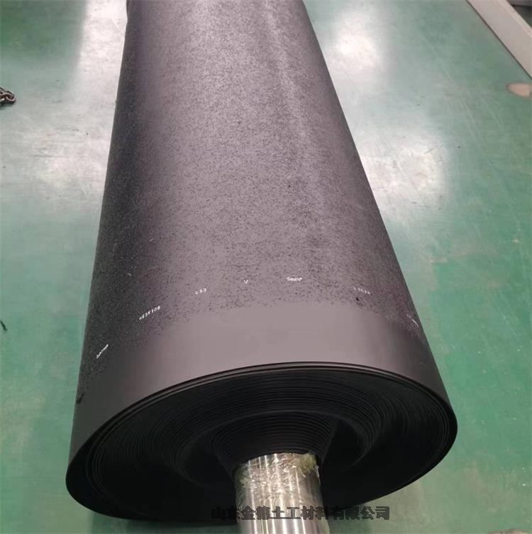 ⻬ƽ1.0mm񽨱HDPEĤ ˮظ