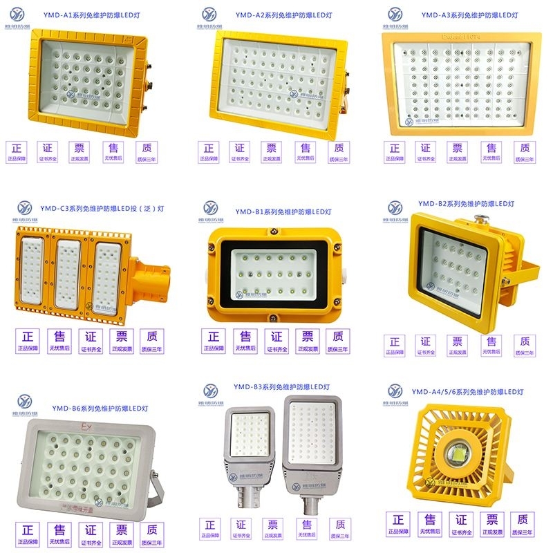 LEDͶ վú󻯹100W200WLEDƱװװ