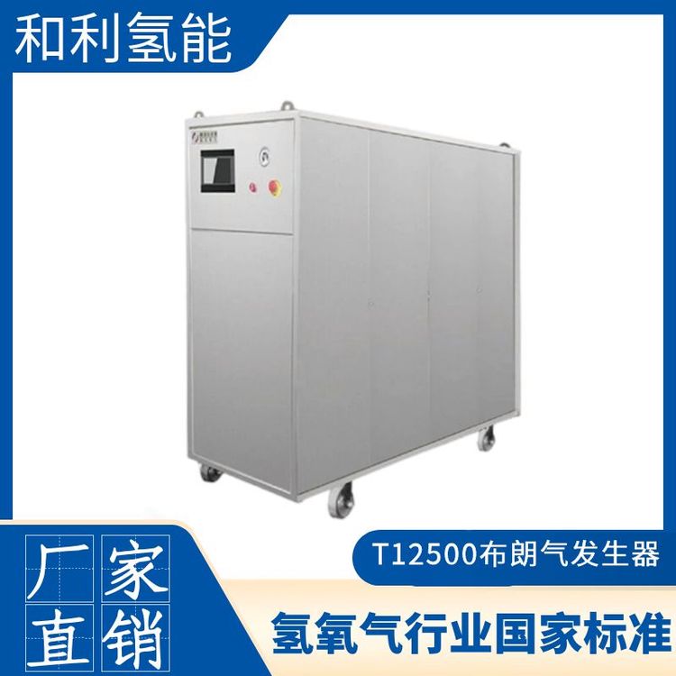 T12500ȫպͿ취ṹ