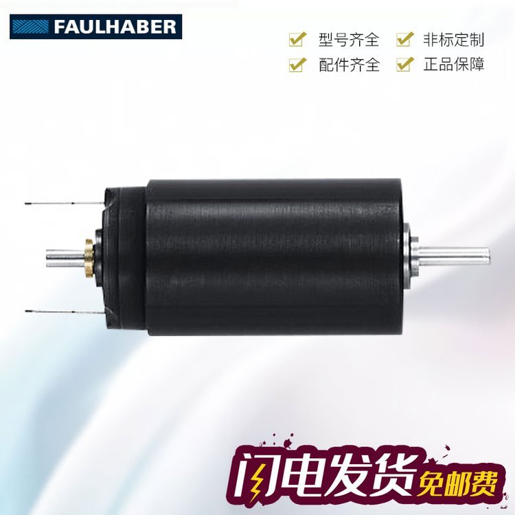 ¹FAULHABER1319T024SRܴ