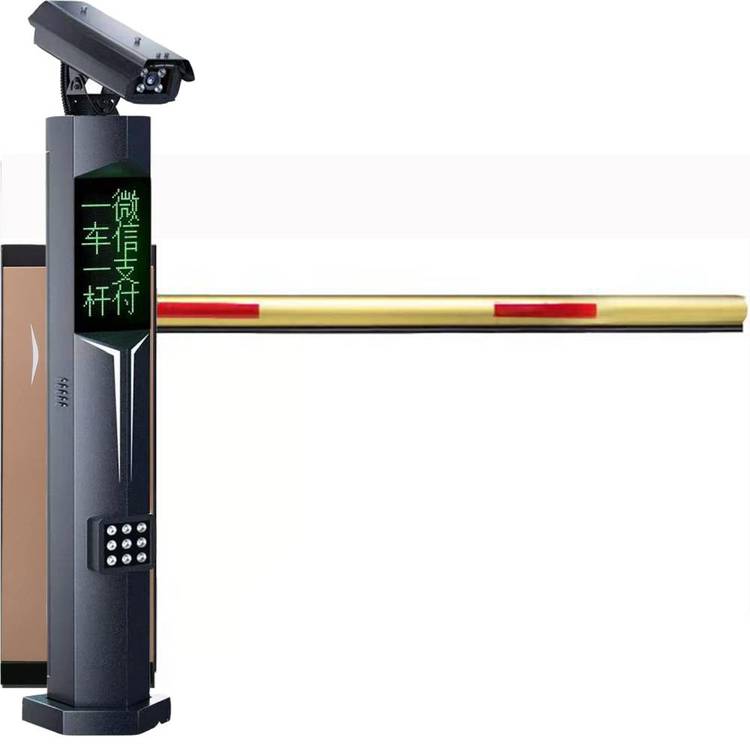 ݸƽųʶԶϵͳװ
