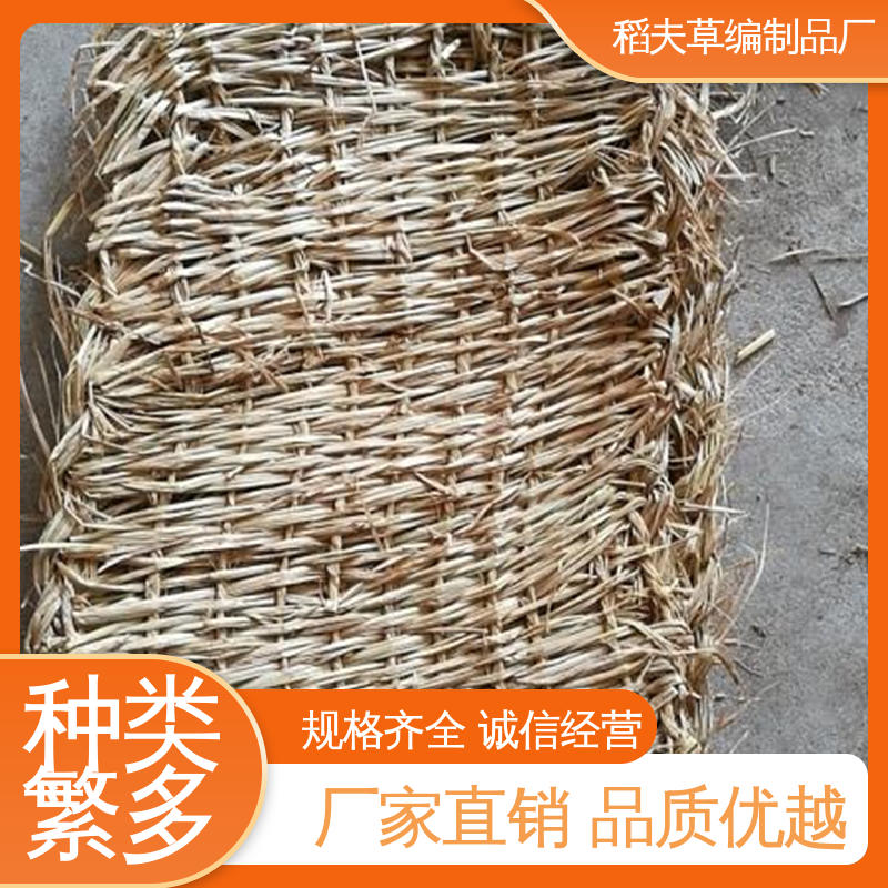 鿴ݴ͸ʴ¹̵ݱƷ