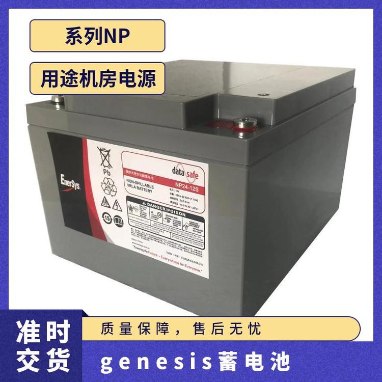 ŵ˹genesisNP100-12S12V100AHUPS