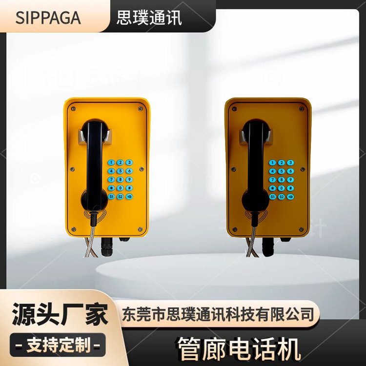 SIP-PA-21ȵ绰ٹ·ӦIP绰ˮվ