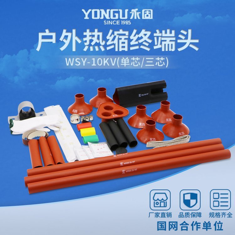 WSY-10\/1.410KVѹն
