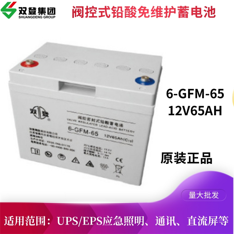 ˫Ǧᴢ6-GFM-65ˮϵͳר12V65AHC10