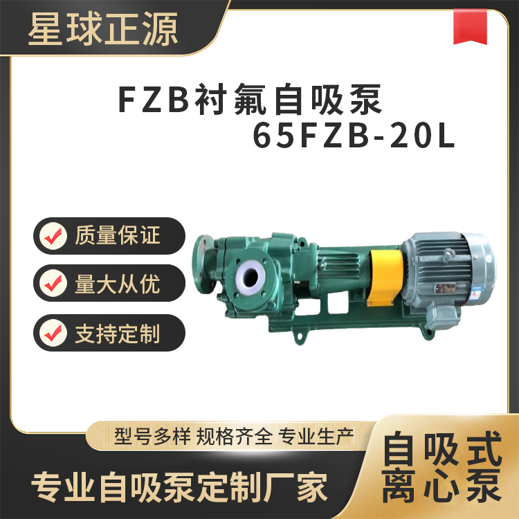 Դ65FZB-20Lķıý