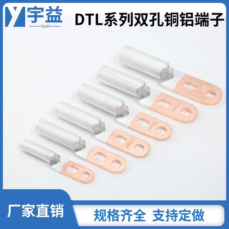 ˫ͭ߶DTLS߱ɶͭ߶