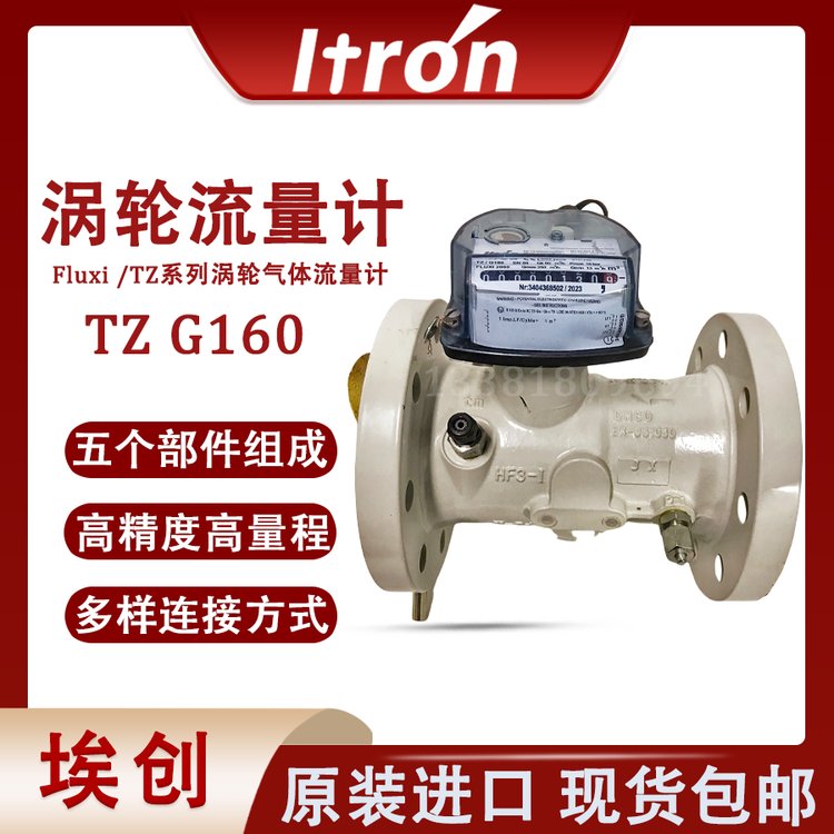 TZ\/G160¹ITRONȻTZ\/G100DN80
